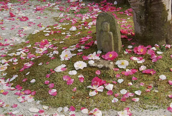白毫寺　奈良