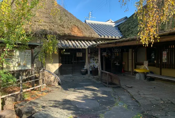 ざいごうどん 本家 わら家の写真・動画_image_1039320