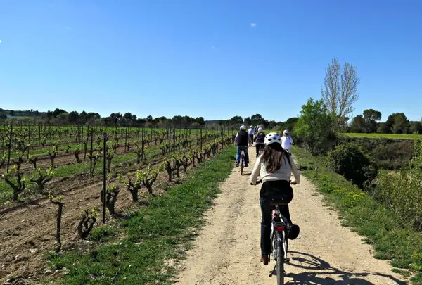 Bikemotions: Bike Tours & Bike Rentals