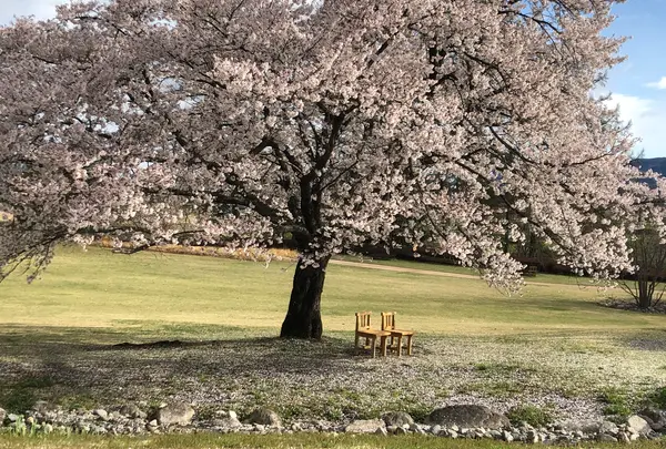 松川村・安曇野ちひろ公園の写真・動画_image_1157962