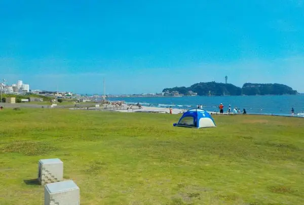 県立湘南海岸公園 芝生広場