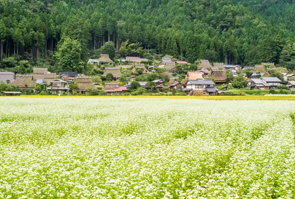 かやぶきの里
