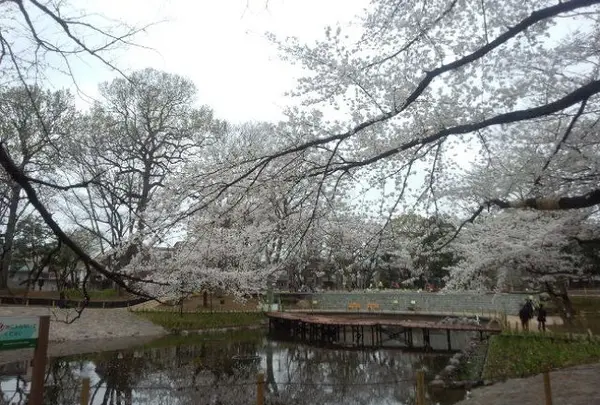 文庫の森