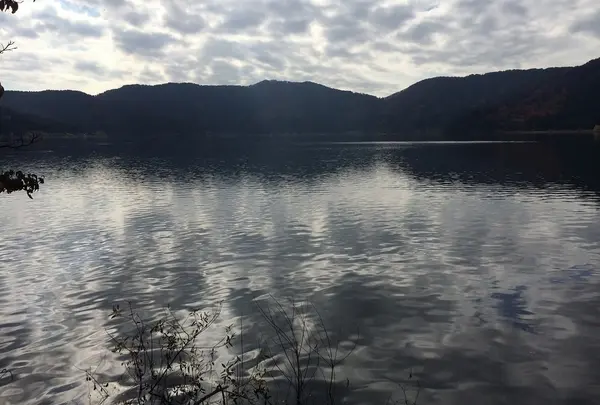 余呉湖の写真・動画_image_124828