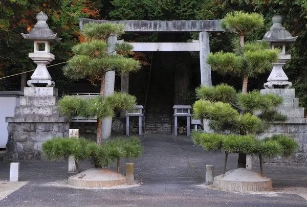 山上の見晴らしを期待して登ってみたものの