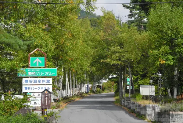 蓼科高原