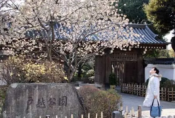 戸越銀座駅～戸越公園