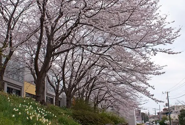 劇団四季芸術センター