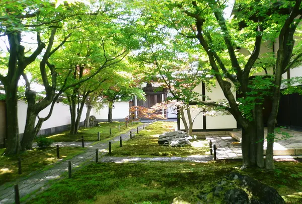 黄梅院