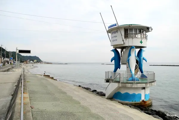 山海海水浴場の写真・動画_image_131965