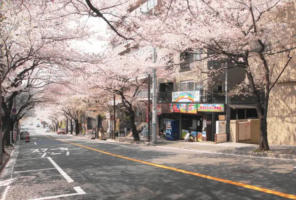さぎ沼商店会