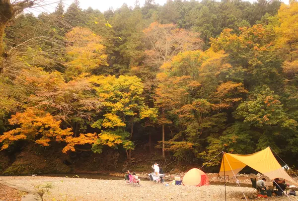 古民家ファミリービレッジ キャンプ/バーベキュー場の写真・動画_image_1322681