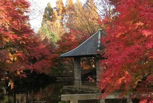 区立馬橋公園