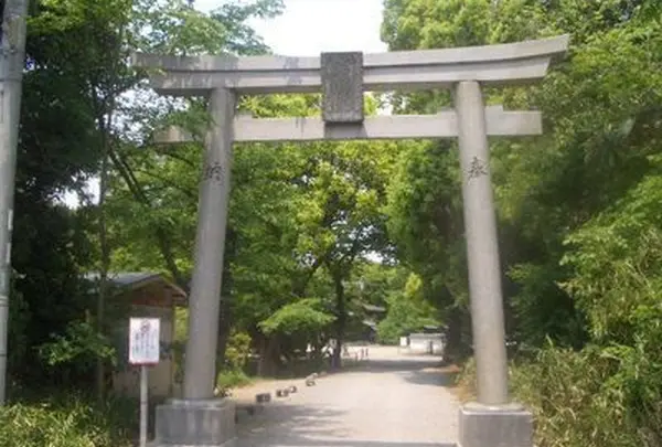 聖神社の写真・動画_image_133612