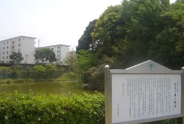 信太の森の鏡池史跡公園の写真・動画_image_133613