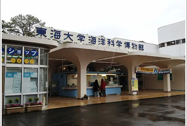 東海大学海洋科学博物館