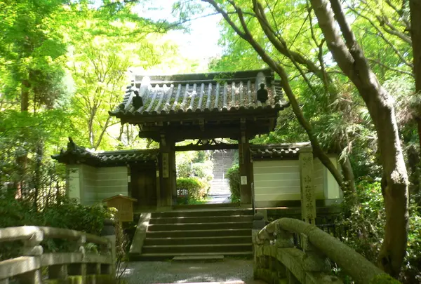 来迎院の写真・動画_image_134011