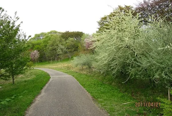 水沢の森（菅生緑地西地区）