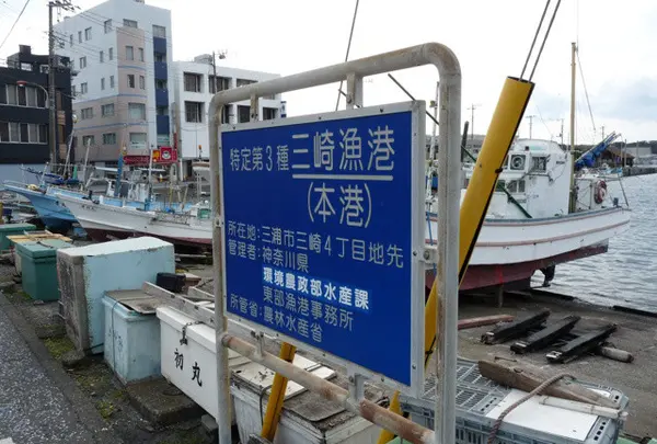三崎港