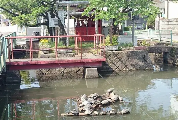 弁天池→鹿沼市役所