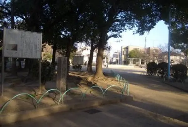 新森中央公園の写真・動画_image_135009