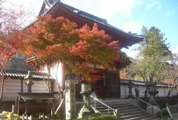 天野山金剛寺（女人高野）の写真・動画_image_135153