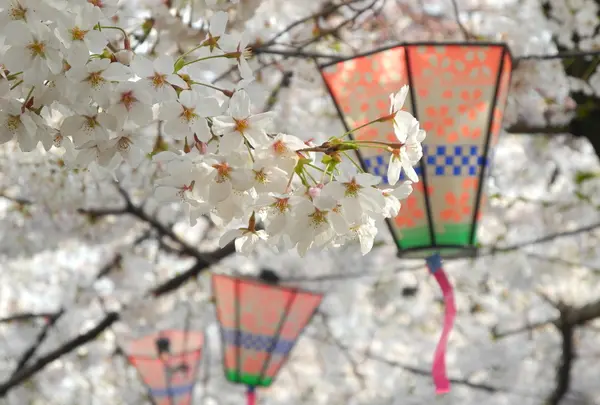 桜の名所