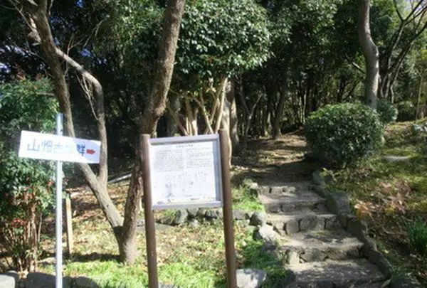 山畑古墳群の写真・動画_image_137538