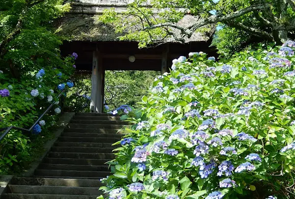 東慶寺