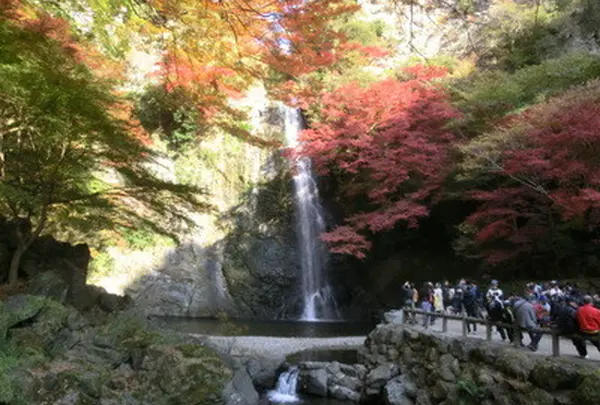 明治の森箕面国定公園