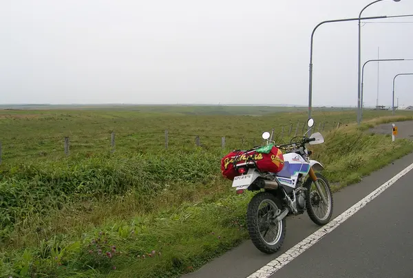 何も無い平原の一本道を根室に向かってひた走るのです