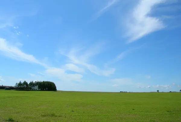 中標津あたりを地図も見ないで走りまくる