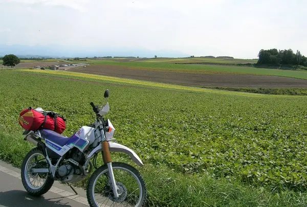 北海道といえば美瑛でしょ