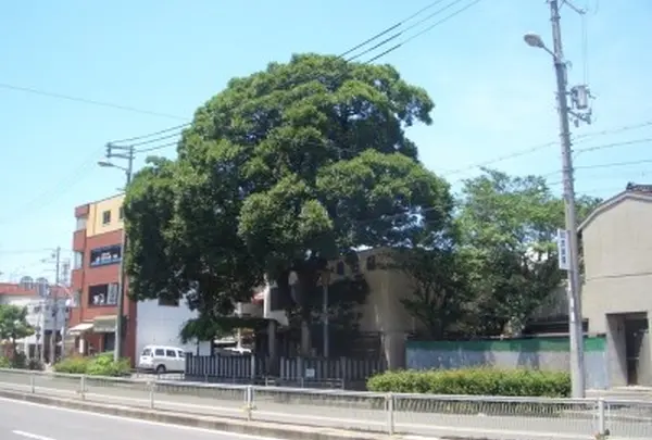 松虫塚