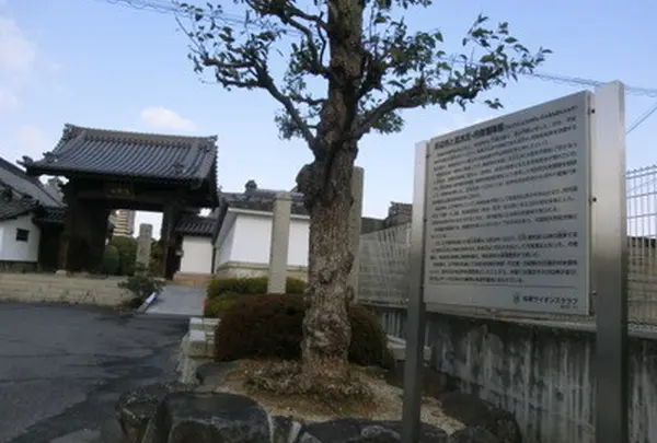 来迎寺