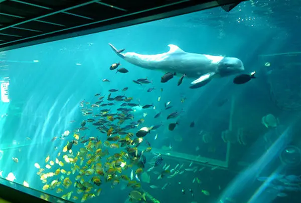箱根園水族館