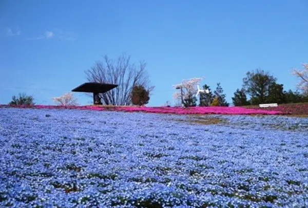 太田市北部運動公園