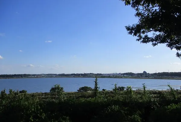 千葉県立印旛沼公園
