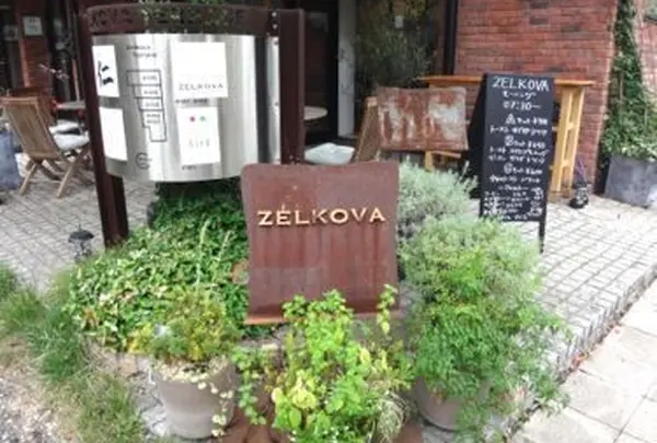 ZELKOVA