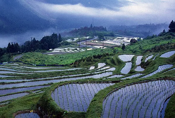 丸山千枚田