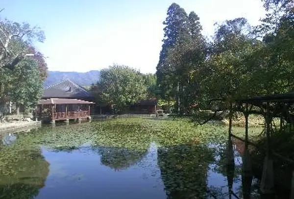 池の山キャンプ場