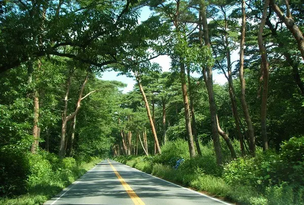 那須街道