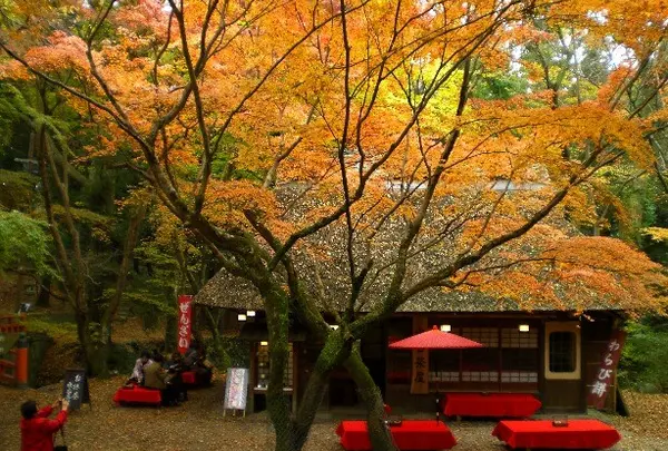 水谷茶屋