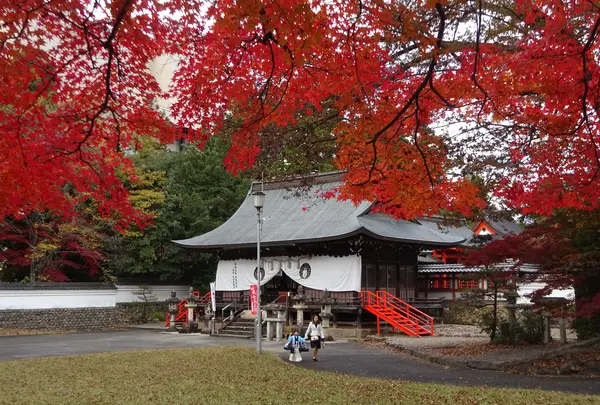 春日神社の写真・動画_image_1493956