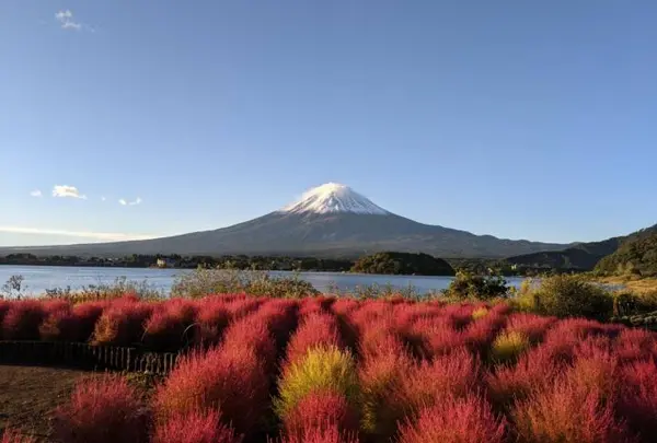 河口湖　大石公園