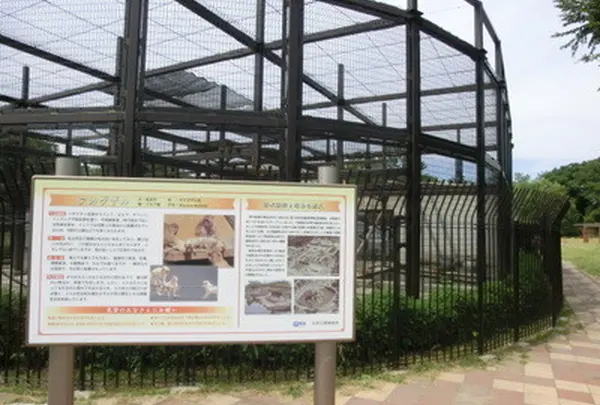 猿飼育舎