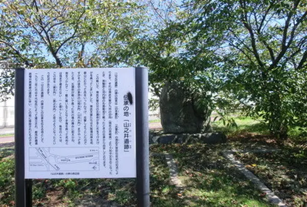 山之井遺跡の写真・動画_image_155632