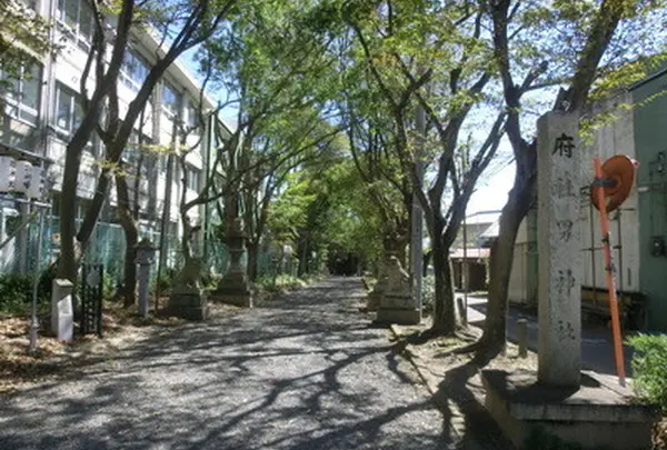 男神社の写真・動画_image_155633
