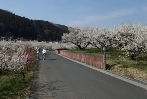 自然休養村センター