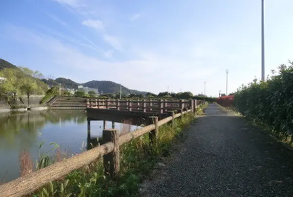 新稲三池
